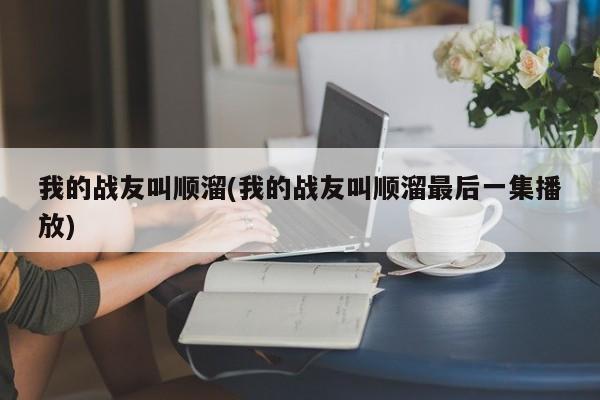 我的战友叫顺溜(我的战友叫顺溜最后一集播放)