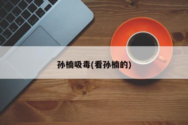 孙楠吸毒(看孙楠的)