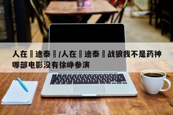 人在囧途泰囧/人在囧途泰囧战狼我不是药神哪部电影没有徐峥参演