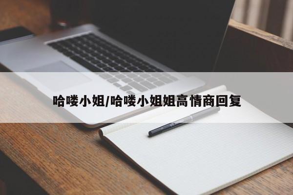 哈喽小姐/哈喽小姐姐高情商回复