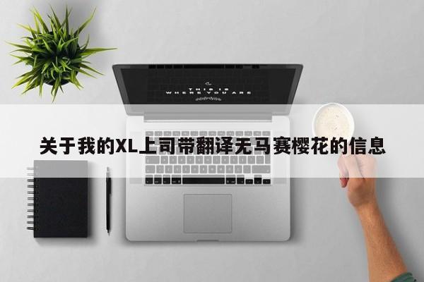 关于我的XL上司带翻译无马赛樱花的信息