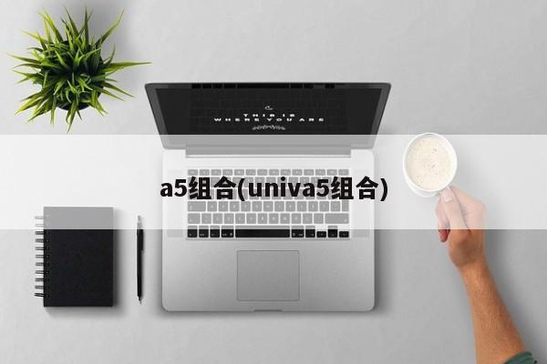a5组合(univa5组合)