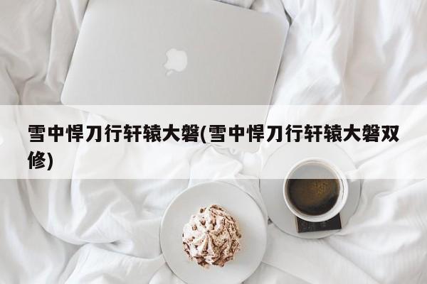 雪中悍刀行轩辕大磐(雪中悍刀行轩辕大磐双修)
