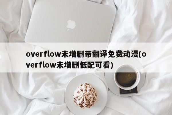 overflow未增删带翻译免费动漫(overflow未增删低配可看)