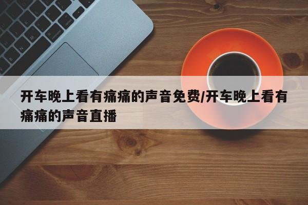开车晚上看有痛痛的声音免费/开车晚上看有痛痛的声音直播