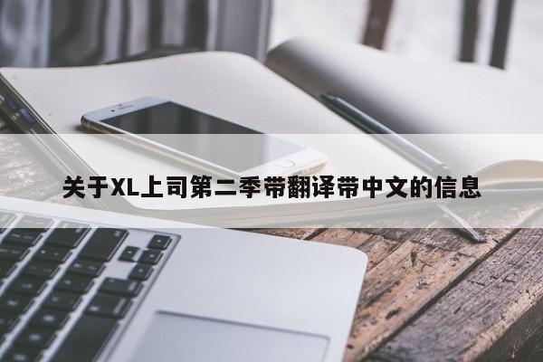 关于XL上司第二季带翻译带中文的信息
