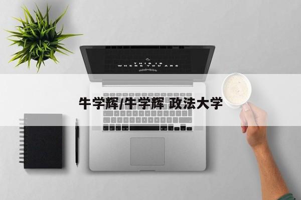 牛学辉/牛学辉 政法大学