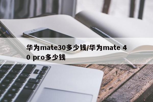 华为mate30多少钱/华为mate 40 pro多少钱