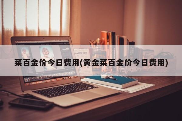 菜百金价今日费用(黄金菜百金价今日费用)