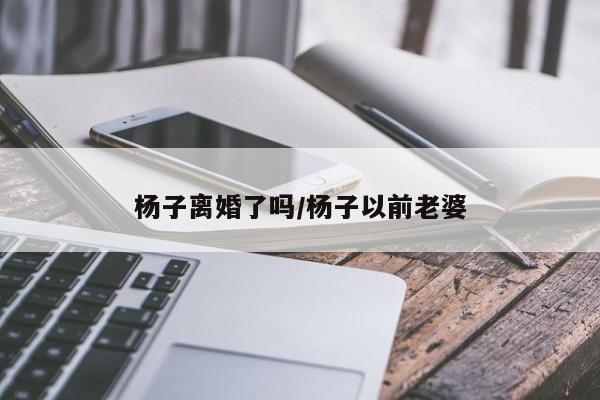 杨子离婚了吗/杨子以前老婆