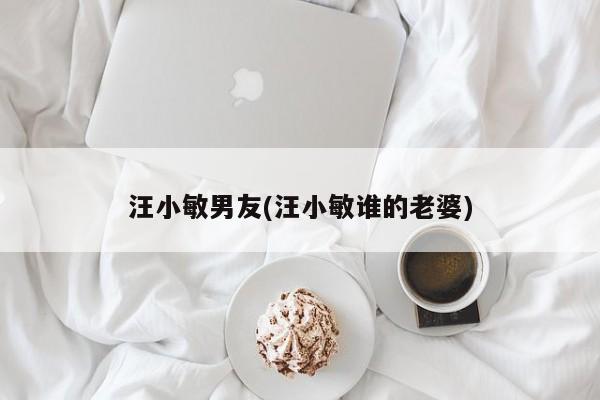 汪小敏男友(汪小敏谁的老婆)