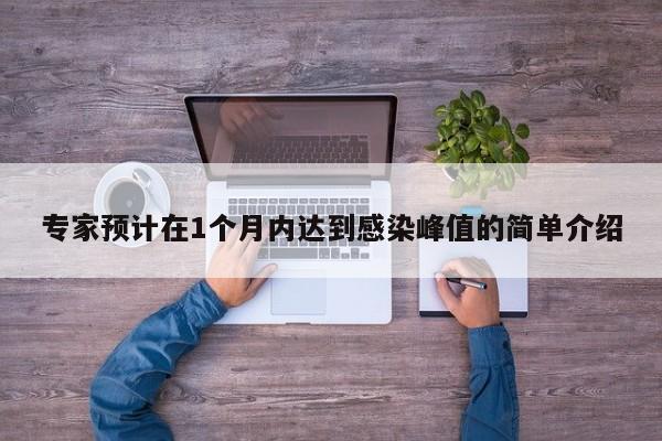 专家预计在1个月内达到感染峰值的简单介绍