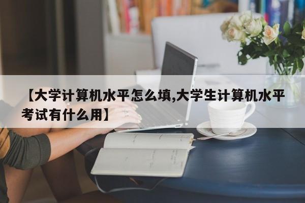 【大学计算机水平怎么填,大学生计算机水平考试有什么用】