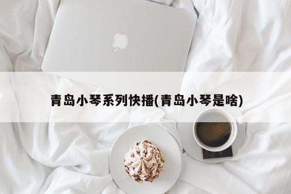 青岛小琴系列快播(青岛小琴是啥)