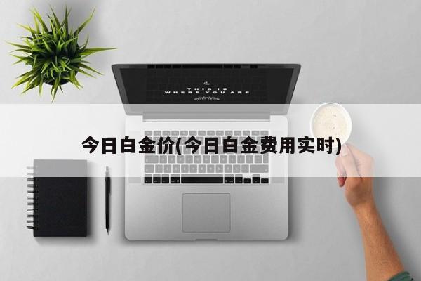 今日白金价(今日白金费用实时)