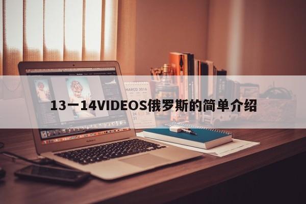 13一14VIDEOS俄罗斯的简单介绍