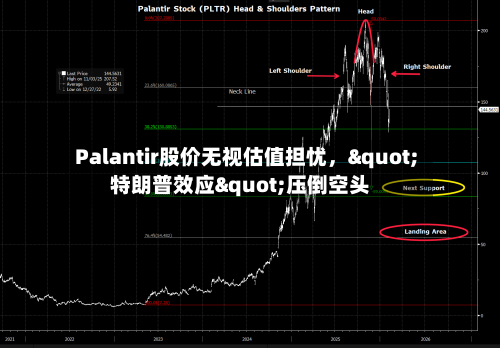 Palantir股价无视估值担忧	，"特朗普效应"压倒空头-第2张图片