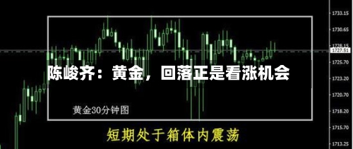 陈峻齐：黄金，回落正是看涨机会-第3张图片