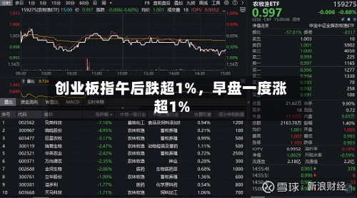 创业板指午后跌超1%，早盘一度涨超1%-第2张图片