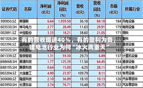有的营收增速40％，有的盈利为负	，锂电池行业为何“冰火两重天”-第3张图片