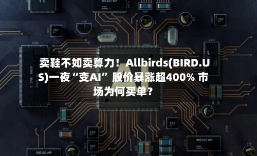 卖鞋不如卖算力！Allbirds(BIRD.US)一夜“变AI	” 股价暴涨超400% 市场为何买单？-第2张图片