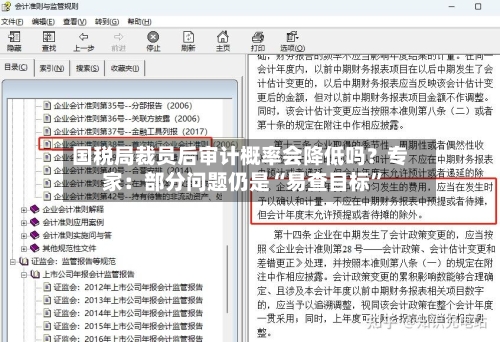 国税局裁员后审计概率会降低吗？专家：部分问题仍是“易查目标”-第1张图片