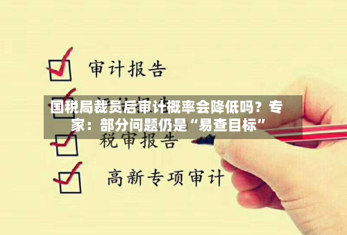 国税局裁员后审计概率会降低吗？专家：部分问题仍是“易查目标”-第3张图片