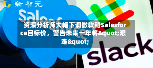 资深分析师大幅下调微软和Salesforce目标价，警告未来一年将"艰难"-第2张图片