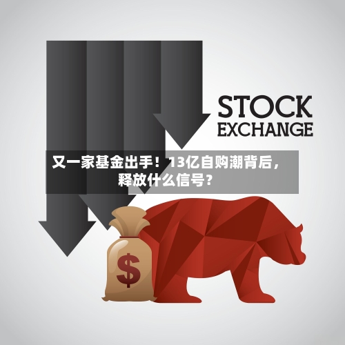 又一家基金出手！13亿自购潮背后，释放什么信号？-第2张图片