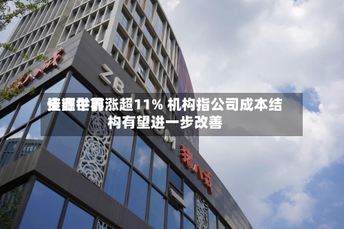 佳鑫世界
资源午前涨超11% 机构指公司成本结构有望进一步改善-第1张图片