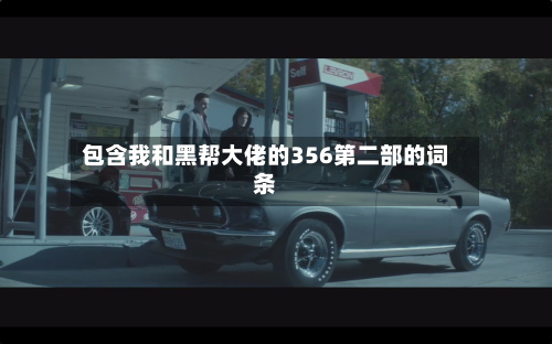 包含我和黑帮大佬的356第二部的词条-第1张图片