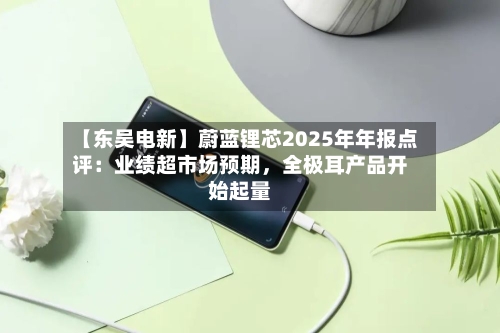 【东吴电新】蔚蓝锂芯2025年年报点评：业绩超市场预期	，全极耳产品开始起量-第2张图片
