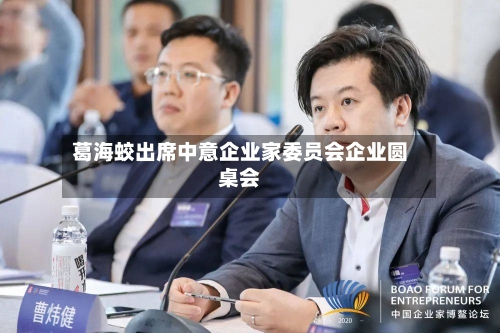 葛海蛟出席中意企业家委员会企业圆桌会