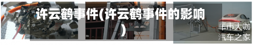 许云鹤事件(许云鹤事件的影响)-第1张图片