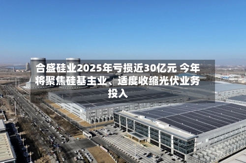 合盛硅业2025年亏损近30亿元 今年将聚焦硅基主业、适度收缩光伏业务投入-第2张图片