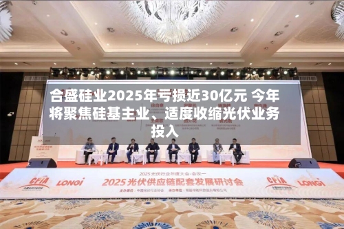 合盛硅业2025年亏损近30亿元 今年将聚焦硅基主业、适度收缩光伏业务投入-第3张图片