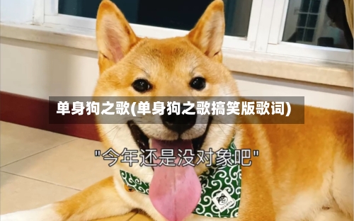 单身狗之歌(单身狗之歌搞笑版歌词)