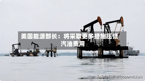 美国能源部长：将采取更多措施压低汽油费用