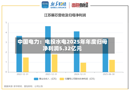 中国电力：电投水电2025年年度归母净利润5.32亿元