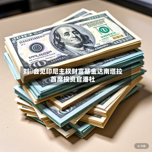 刘珺会见印尼主权财富基金达南塔拉首席投资官潘杜