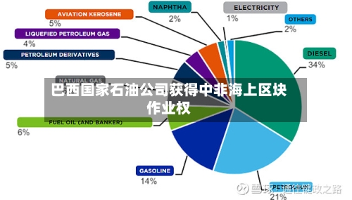 巴西国家石油公司获得中非海上区块作业权