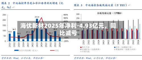 海优新材2025年净利-4.93亿元，同比减亏-第1张图片