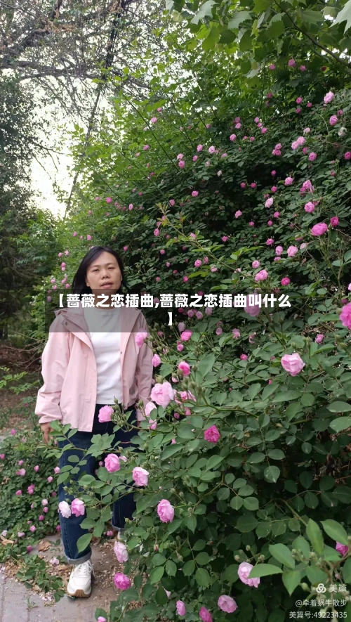 【蔷薇之恋插曲,蔷薇之恋插曲叫什么】-第1张图片