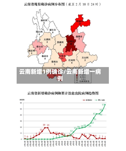 云南新增1例确诊/云南新增一病例