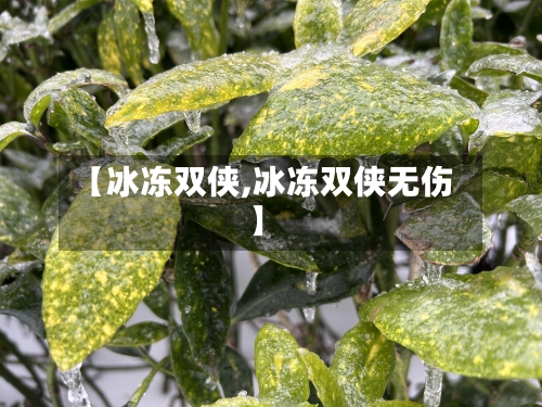 【冰冻双侠,冰冻双侠无伤】