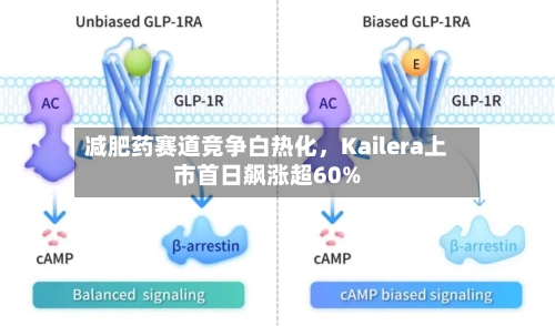 减肥药赛道竞争白热化	，Kailera上市首日飙涨超60%-第3张图片