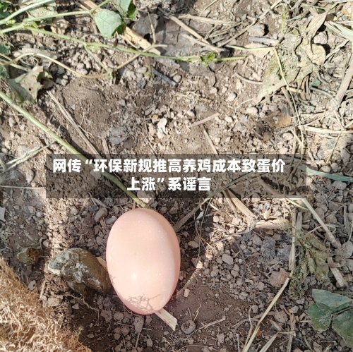 网传“环保新规推高养鸡成本致蛋价上涨”系谣言-第3张图片