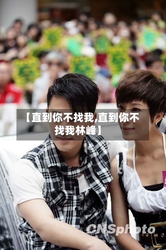 【直到你不找我,直到你不找我林峰】