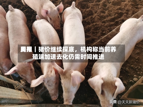 费用周报｜猪价继续探底，机构称当前养殖端加速去化仍需时间推进-第1张图片