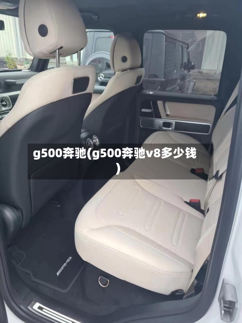 g500奔驰(g500奔驰v8多少钱)